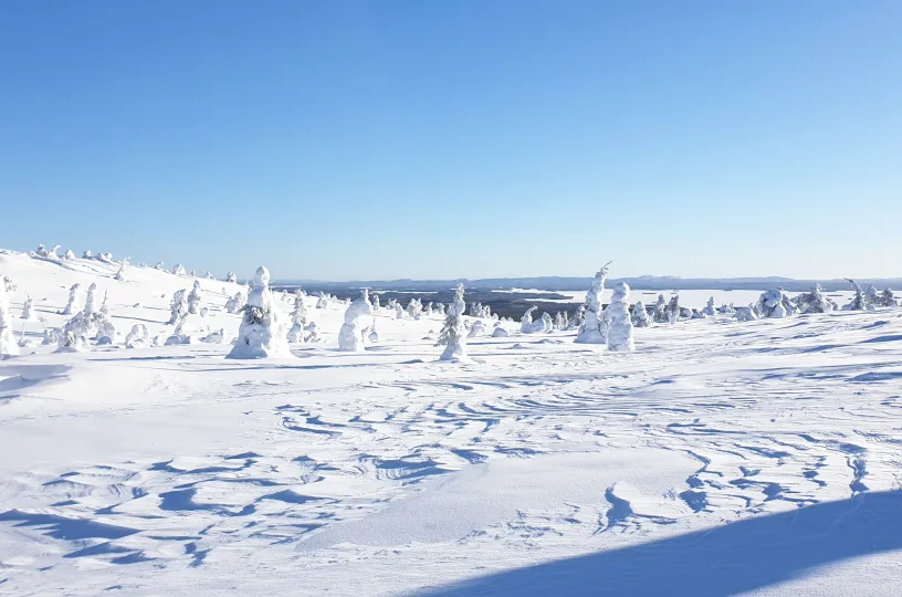 Suomen talvinen luonto 