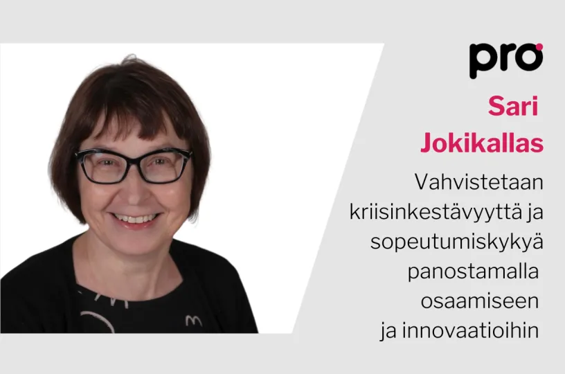 Sari Jokikallas blogi