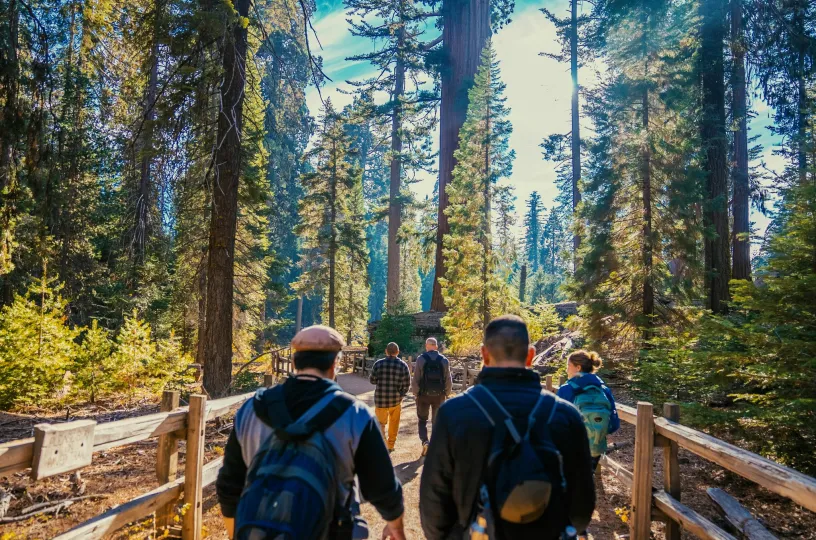 metsässä retkellä