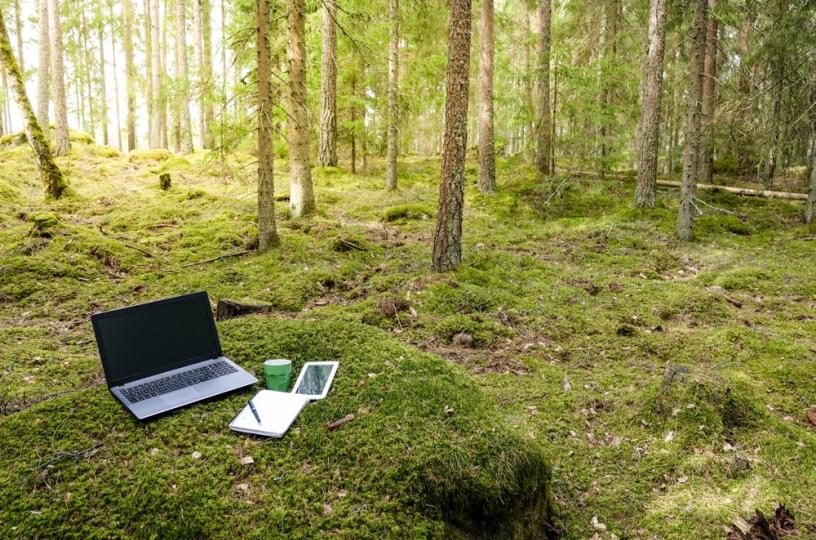 Kannettava tietokone ja tabletti metsässä.