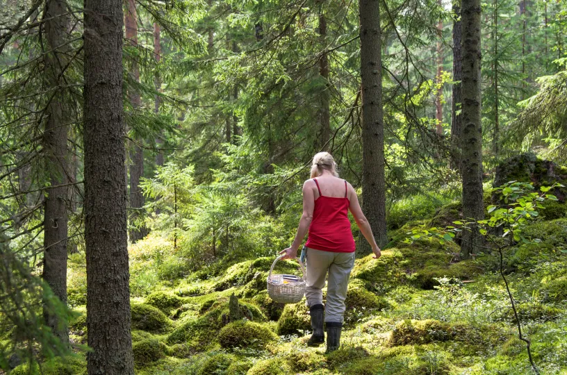 nainen metsässä