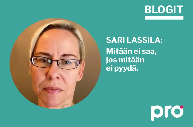 Sari Lassilan kuva blogiin