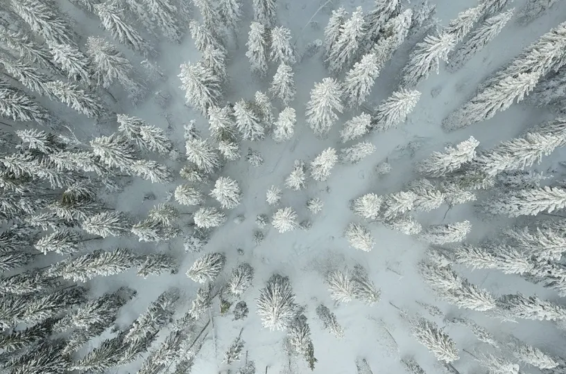 Talvinen metsä ylhäältä