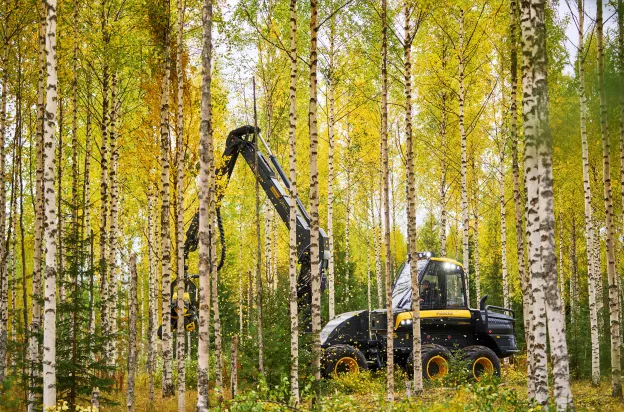 Metsäkone Ergo