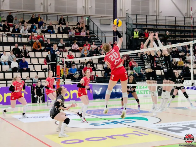 Mestaruusliiga