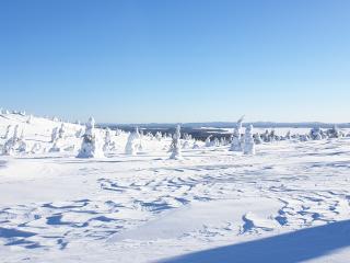 Suomen talvinen luonto 