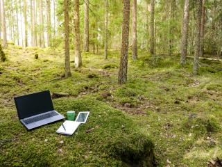 Tietokone ja älypuhelin metsässä.