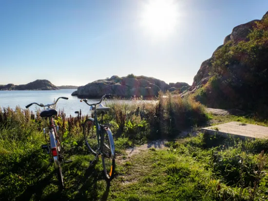 Kuvassa kesäinen maisema