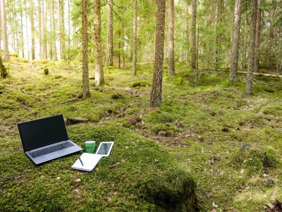 Kannettava tietokone ja tabletti metsässä.