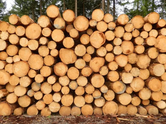 Metsäteollisuus