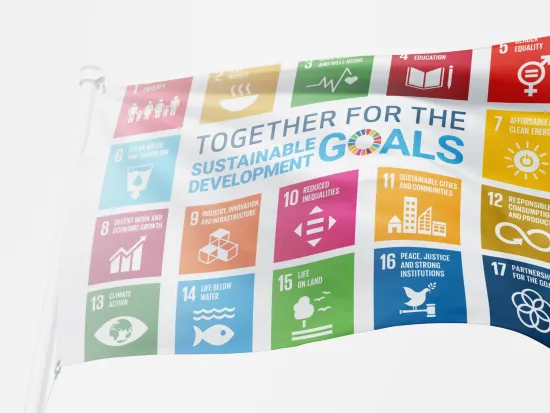 sdg