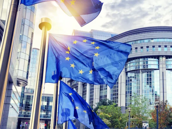 EU:n lippu liehuu parlamentin edessä