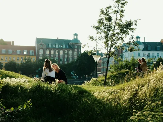 Kaksi naista istuu vihreällä nurmikolla aurinkoisessa puistossa, taustalla rakennuksia.