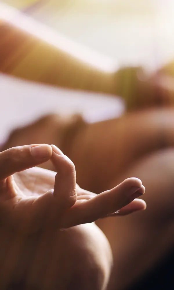 Ihmisen kädet, meditaatio