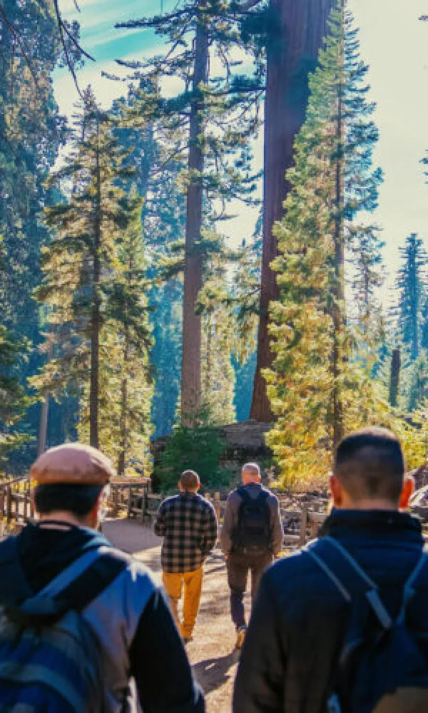 ihmiset kävelemässä metsässä